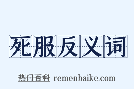 死服反义词是什么意思的图片